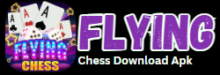Flying Chess Pakistani Game – Free APK v1.124 Download
